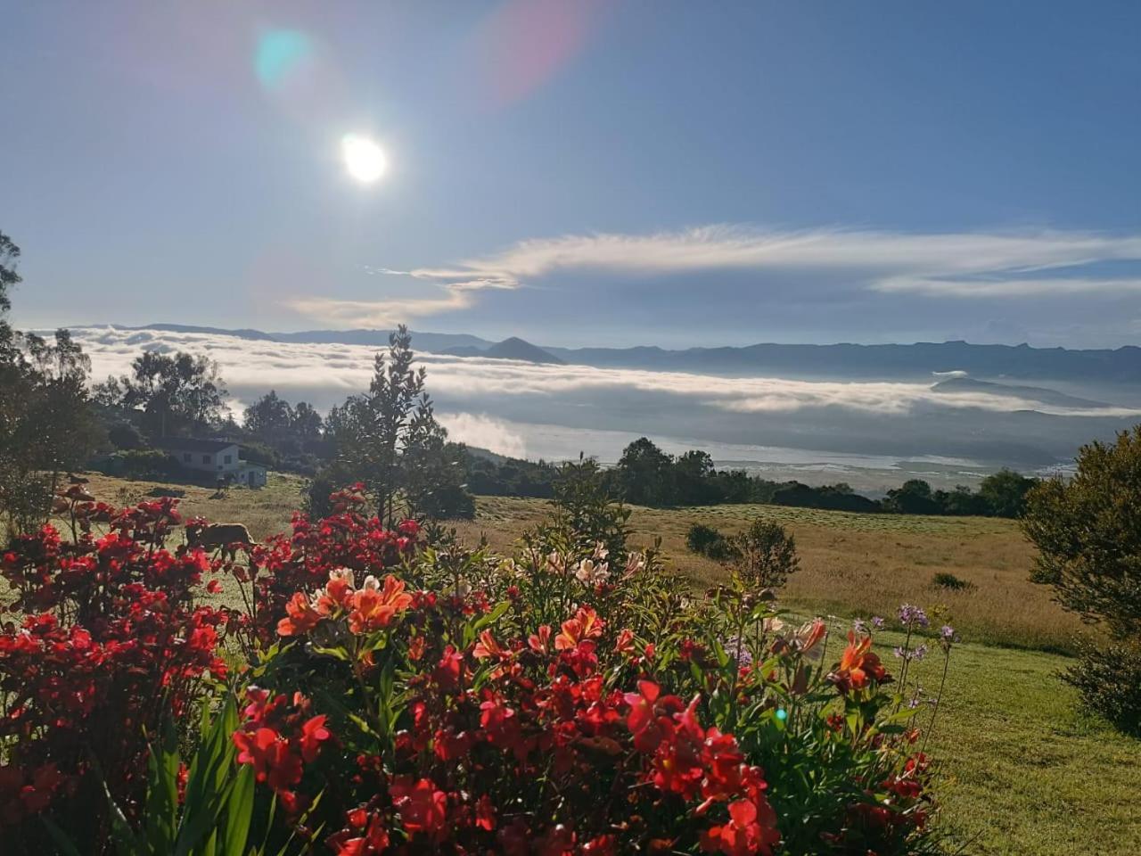 Glamping Hermoso Amanecer Гуатавита Екстериор снимка